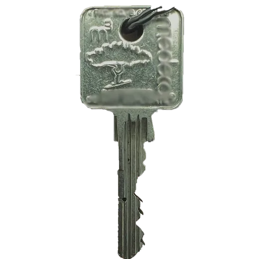 Medeco M3 key copy Toronto